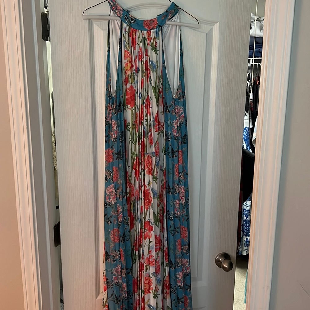 NWT size large flying tomato dress